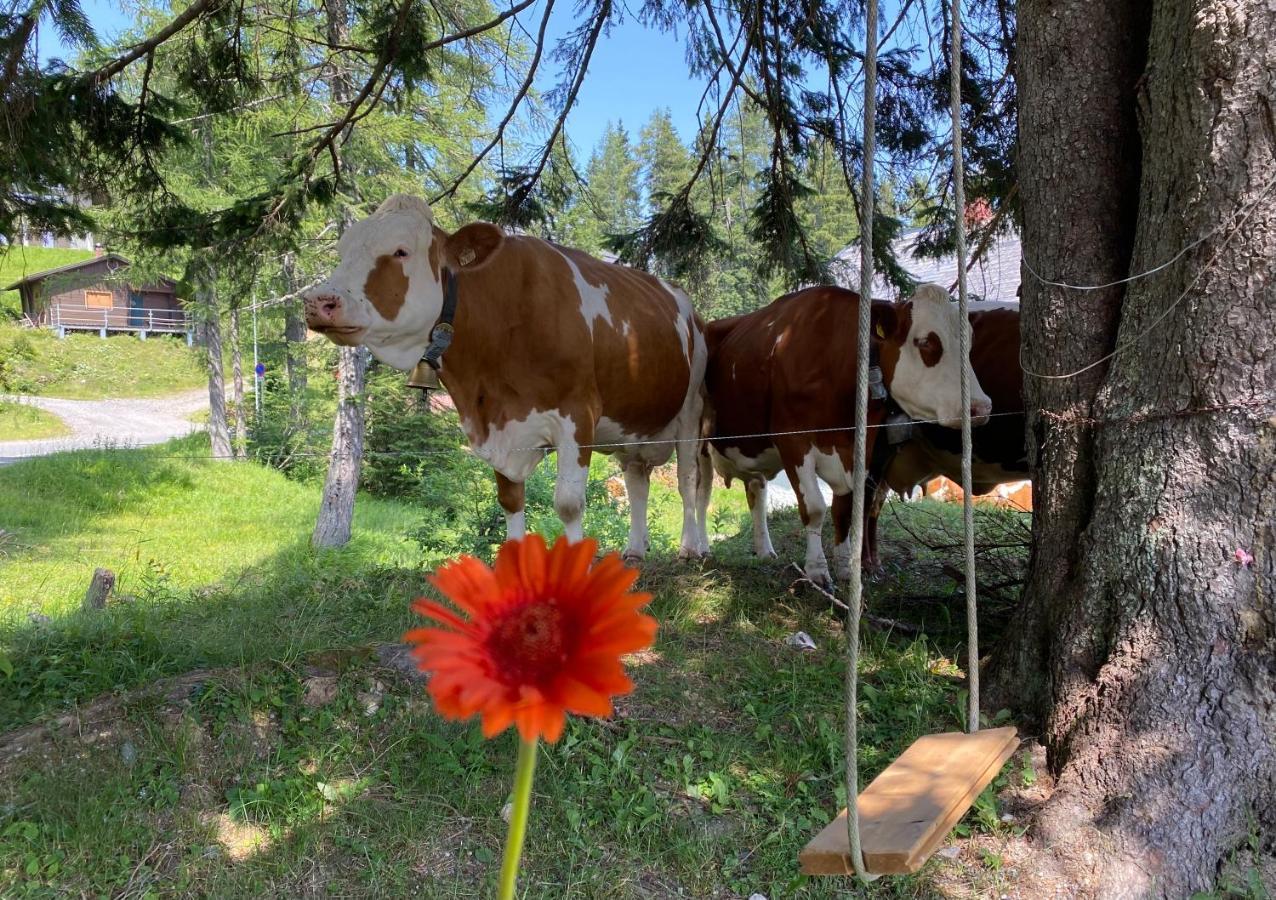 Willa Gemuetliche Huette In Den Bergen Sonnenalpe Nassfeld Zewnętrze zdjęcie